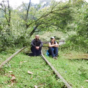 caminata por el bosque